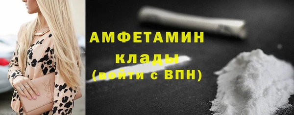 ECSTASY Гусь-Хрустальный