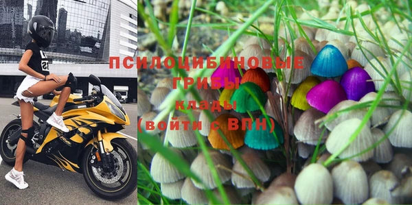крисы Вяземский