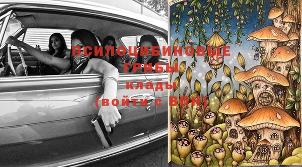 марки lsd Гусиноозёрск