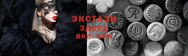 ECSTASY Гусь-Хрустальный