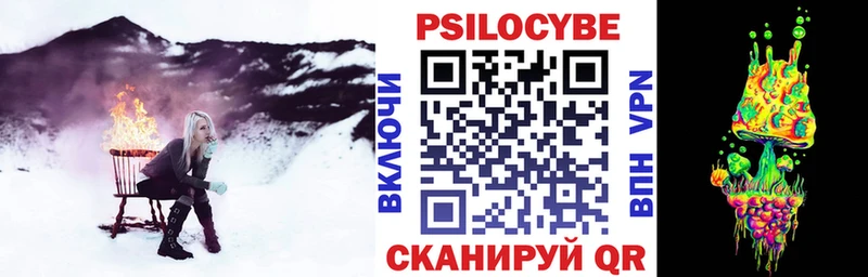 Галлюциногенные грибы MAGIC MUSHROOMS  где продают наркотики  Завитинск 