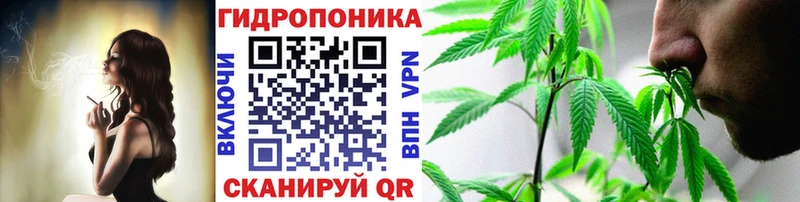 наркота  Завитинск  Марихуана White Widow 